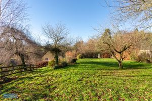 Paddock- click for photo gallery